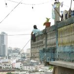 Patrimonios Vivos 2008 1