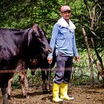 Patrimonios Vivos 2013 10