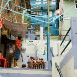 Patrimonios Vivos 2008 10