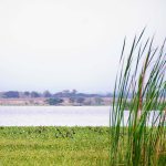 Patrimonios Vivos 2013 13