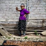 Patrimonios Vivos 2013 14