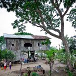 Patrimonios Vivos 2013 17