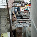 Patrimonios Vivos 2008 2