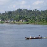 Patrimonios Vivos 2006 2