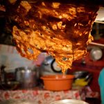 Patrimonios Vivos 2013 29