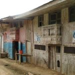 Patrimonios Vivos 2006 4