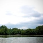 Patrimonios Vivos 2013 41