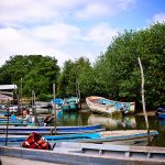 Patrimonios Vivos 2013 44