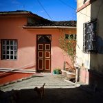 Patrimonios Vivos 2013 45