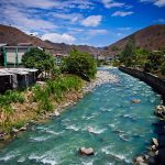 Patrimonios Vivos 2013 54