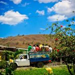 Patrimonios Vivos 2013 55