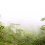 Patrimonios Vivos 2013 56