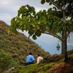 Patrimonios Vivos 2013 59