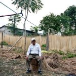 Patrimonios Vivos 2010 6