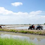 Patrimonios Vivos 2012 7