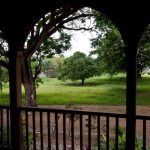 Patrimonios Vivos 2011 7