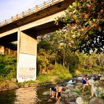 Patrimonios Vivos 2013 75