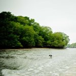 Patrimonios Vivos 2013 83