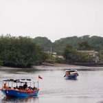 Patrimonios Vivos 2013 85