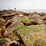 Patrimonios Vivos 2013 87