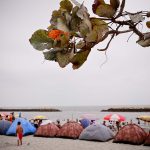 Patrimonios Vivos 2013 89