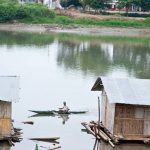 Patrimonios Vivos 2011 9