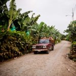 Patrimonios Vivos 2013 99